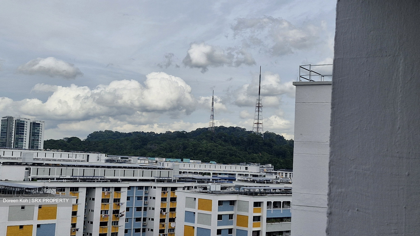 Blk 221 Bukit Batok East Avenue 3 (Bukit Batok), HDB Executive #505871981